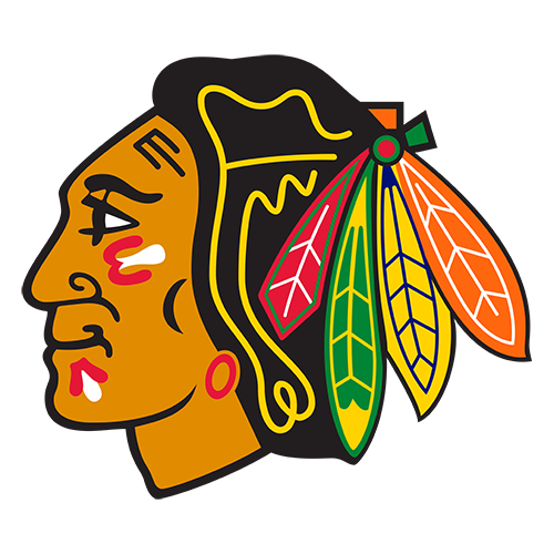 Chicago Blackhawks's logo